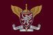 Flag of the 80th Brigade of the Airborne Forces Airborne Brigade chevron 073 photos 2